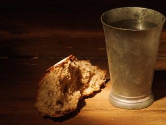 Kruh i voda