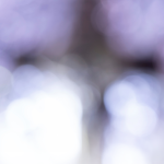 DO ozujak 2026 - manji